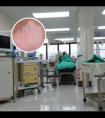 希格玛的308光疗仪哪个好